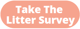 Take The Litter Survey Button